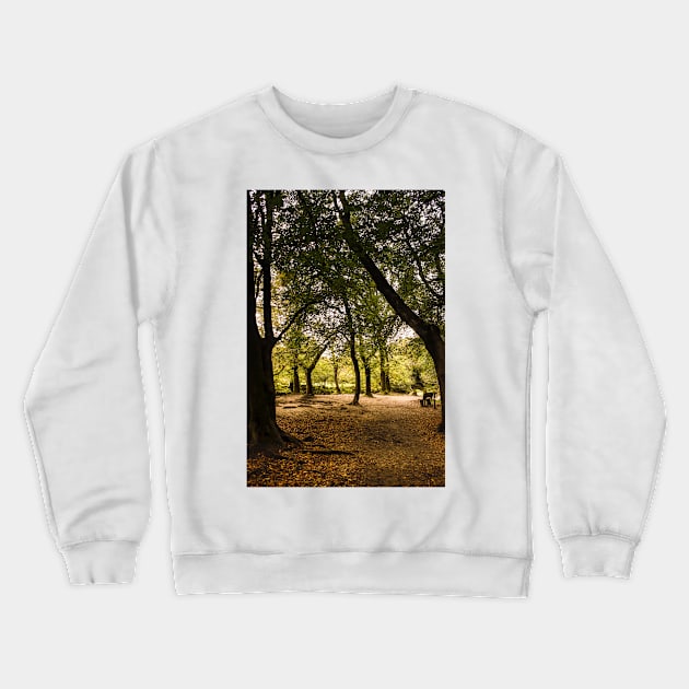 Autumn Walk Golitha falls Crewneck Sweatshirt by avrilharris